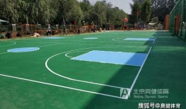 最新爆料篮球场事件视频,激烈对抗引发众怒