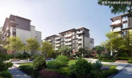 2k24最新卡面爆料,球星风采与设计理念大解析