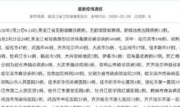 黑龙江新增病例最新爆料,最新疫情动态解析