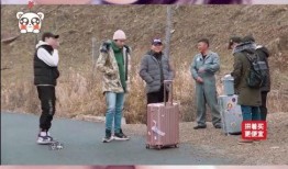 王鹤棣沈月最新爆料五年,甜蜜互动背后的故事