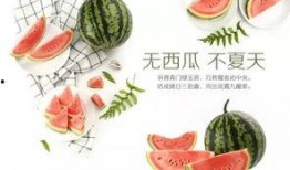 潍坊吃瓜最新爆料视频大全,最新爆料视频大盘点