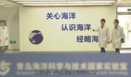 山东美容院最新爆料新闻,最新爆料揭露行业乱象