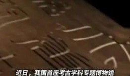 最新社会百态爆料新闻,最新百态爆料新闻盘点