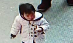 小孩失踪爆料视频大全最新,小孩失踪视频大全，揭开失踪背后的惊人真相