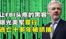 黑客最新爆料电话是多少,黑客最新爆料，神秘电话号码曝光！