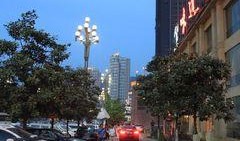 南岸和记黄埔最新爆料