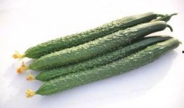 台州最新大瓜爆料视频