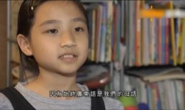 粤语新闻最新爆料,最新事件内幕大揭秘！