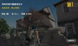 重大爆料吃鸡视频大全最新,重大爆料背后的精彩瞬间