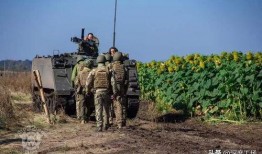 俄军爆料乌军最新消息,乌军最新动态曝光，战局再起波澜！”