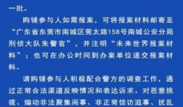 原阳南街爆料案件最新,案情揭秘，警方全力侦破