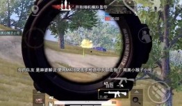 吃鸡最新爆料1月