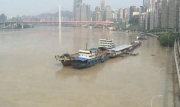 重庆洪水最新爆料,全力抗洪，守护家园安全