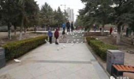 张家口公园爆料视频最新,惊现神秘现象，揭秘公园不为人知的秘密！