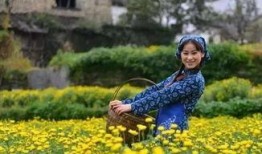 江西婺源热点爆料案件最新,揭秘背后惊人真相