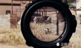 和平精英最新五级特效枪爆料