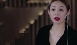 浪姐最新爆料视频大全下载,精彩瞬间回顾，揭秘幕后故事