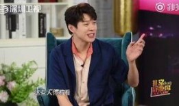 网红爆料王源视频大全最新,揭秘网红爆料背后的精彩瞬间