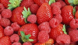 最新爆料草莓图片大全集,最新爆料草莓图片大全集惊艳呈现