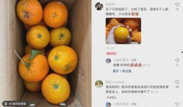 橘子最新爆料文案图片,最新爆料图片背后的惊人真相