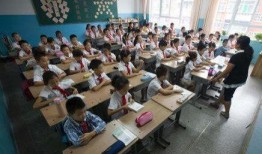 郑州小学爆料案件最新,揭开校园安全隐忧的真相