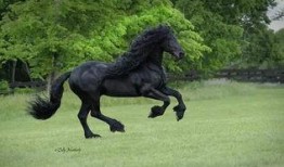 马黑爆料最新视频下载,深度解析行业内幕