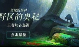 爆料王者峡谷视频大全最新,揭秘最新爆料视频大全