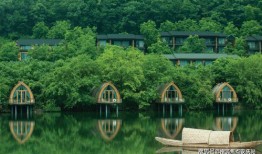 2k24最新卡面爆料,球星风采与设计理念大解析