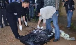 南京碎尸案爆料视频最新,揭秘背后惊人真相与警方调查动态