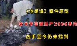 南京碎尸案爆料视频最新,揭秘背后惊人真相与警方调查动态