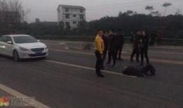 梅华车祸最新爆料消息视频,视频揭露惊人真相，事故原因令人震惊