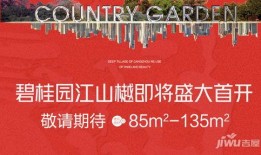 沧州碧桂园最新爆料消息,揭秘最新工程进度与亮点