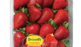 最新爆料草莓图片大全集,最新爆料草莓图片大全集惊艳呈现