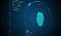 媒体爆料大全最新视频下载