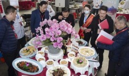 庐江餐饮现状最新爆料,探秘庐江美食江湖最新动态