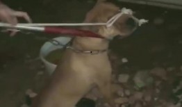 比特爆料最新消息新闻,最新消息揭示行业动态，揭秘科技前沿