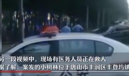 唐山警察爆料事件最新,真相与争议交织的警界风云