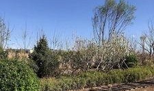 张家口公园爆料视频最新,惊现神秘现象，揭秘公园不为人知的秘密！