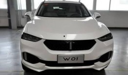 魏派最新爆料,揭秘全新车型与技术创新