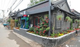 奥比岛2025年最新爆料宠物,神秘生物引领潮流