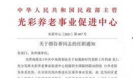 天下最新爆料新闻报道,天下最新爆料，震惊业界内幕大曝光！