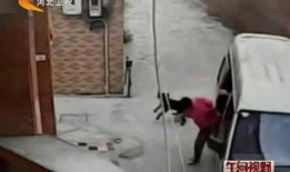 最新偷鱼爆料事件视频,最新进展及现场实况解析