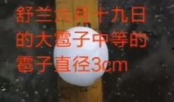 吉林发布最新爆料,揭秘神秘事件背后的真相