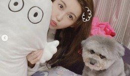 最新台媒爆料小猪,事件持续发酵